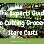 The Experts Guide To Cutting Grocery Store Costs