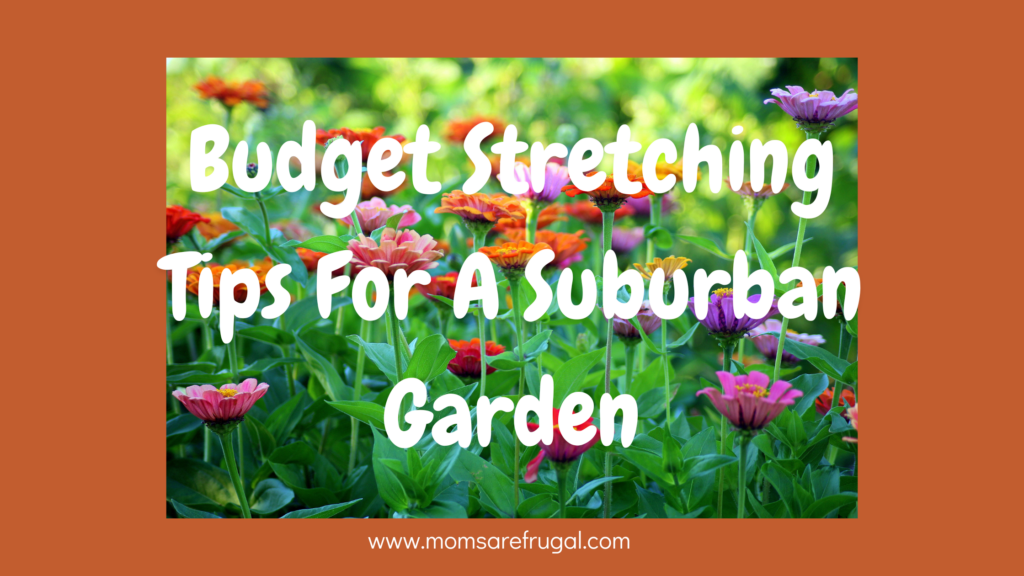 Easy Tips For Frugal Home Gardening