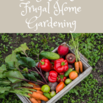 Easy Tips For Frugal Home Gardening