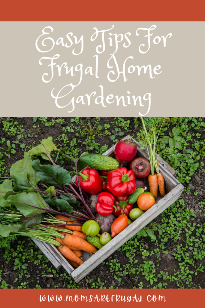 Easy Tips For Frugal Home Gardening