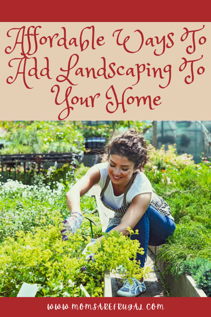 Affordable Ways To Add Landscaping To Your Home. 