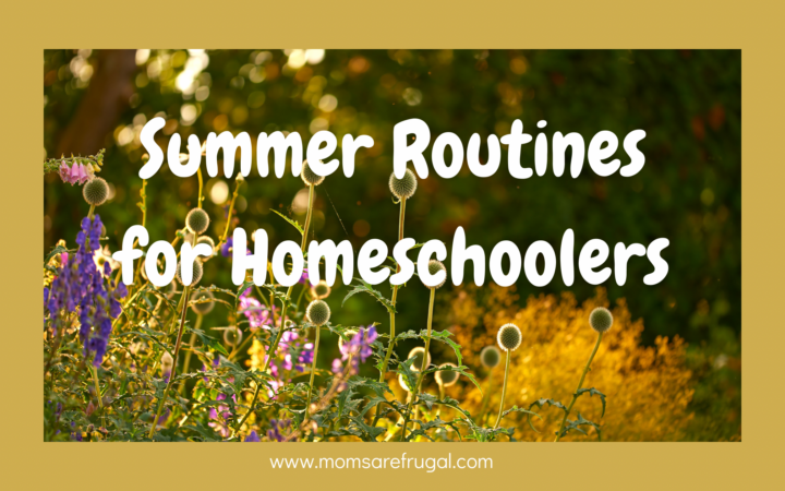 Summer Routines for Homeschoolers