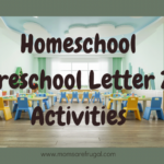 Homeschool Preschool Letter Z Activities