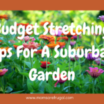 Budget Stretching Tips For A Suburban Garden