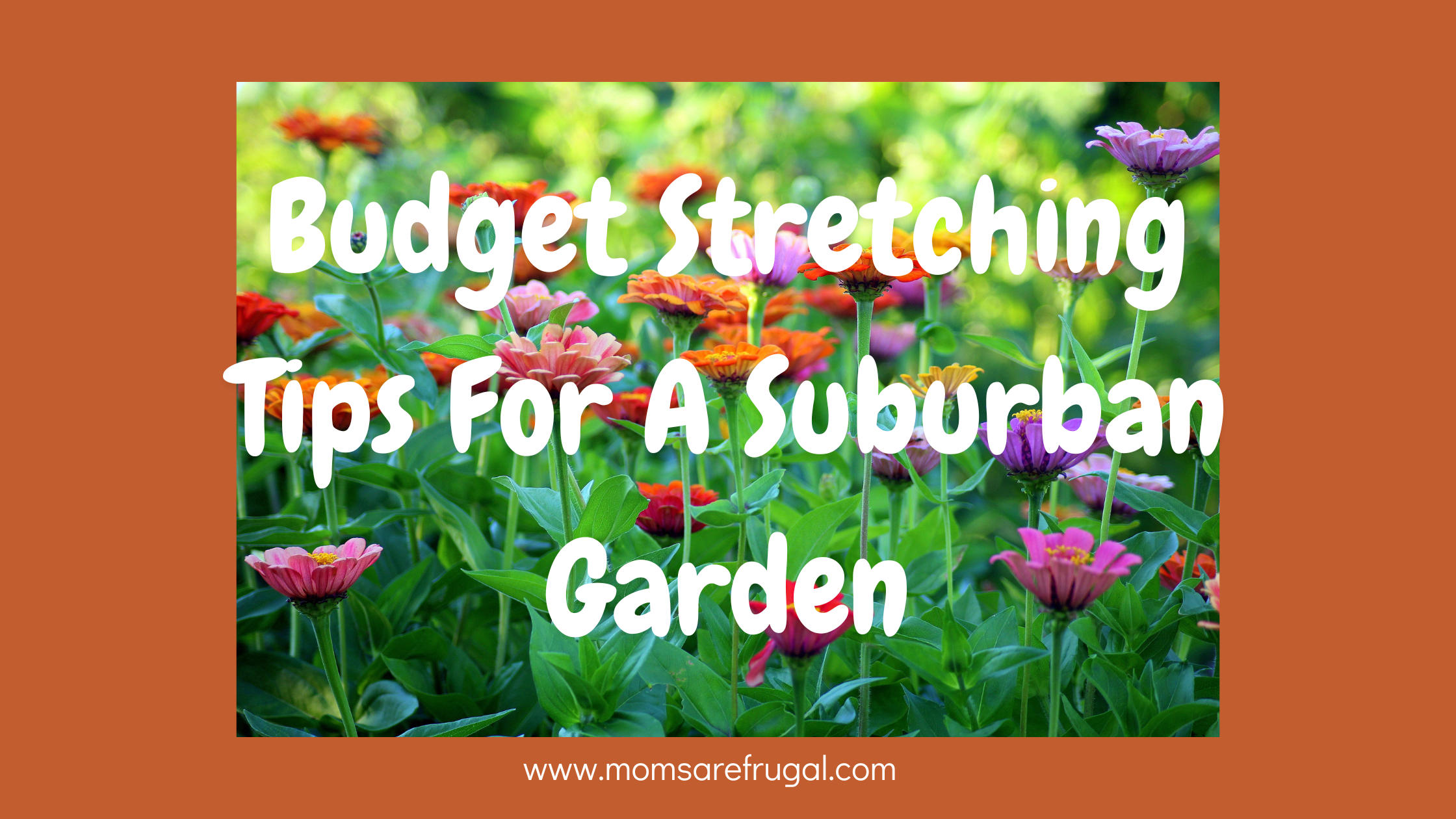 Budget Stretching Tips For A Suburban Garden