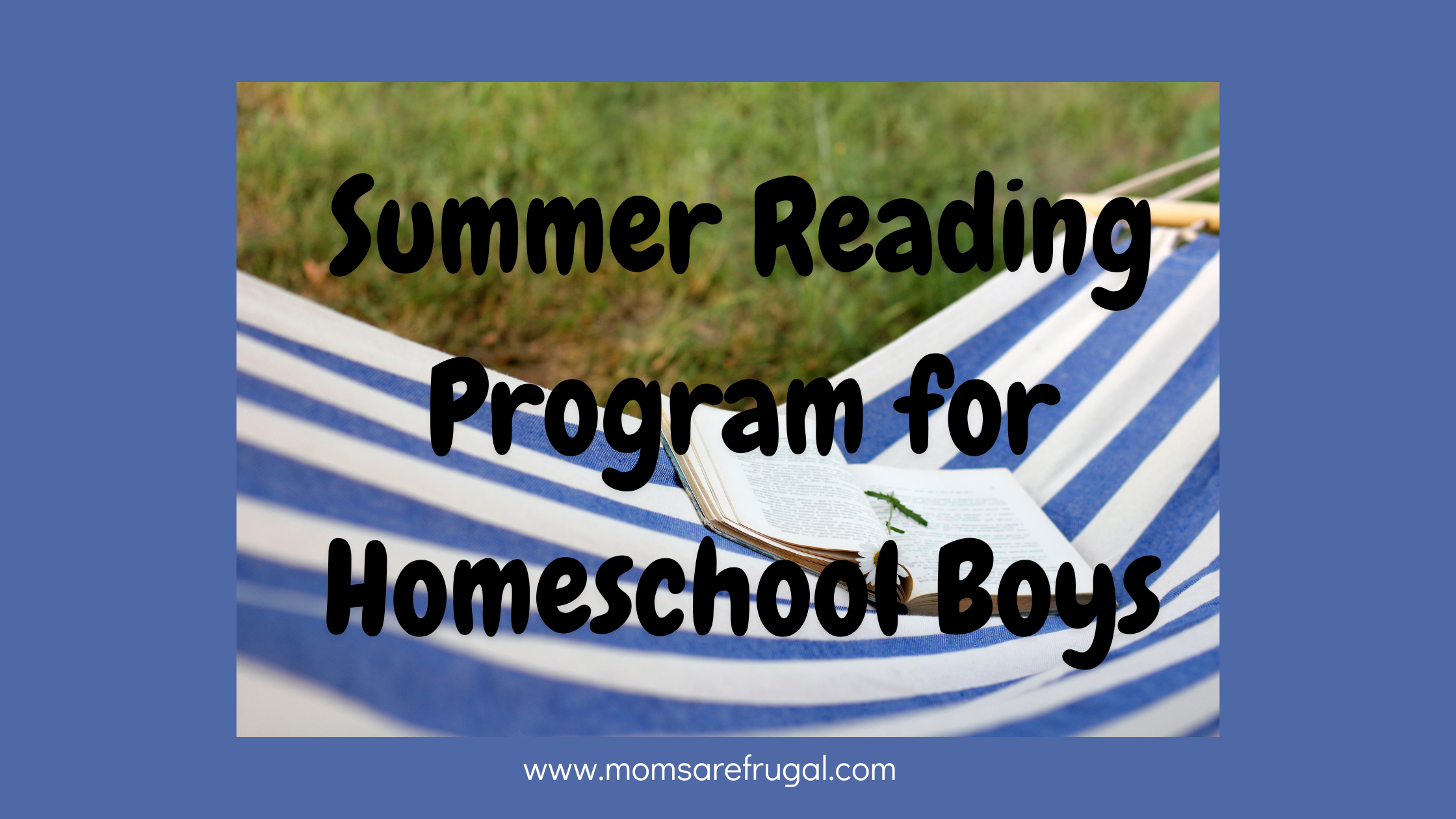 Summer Reading Program for Homeschool Boys