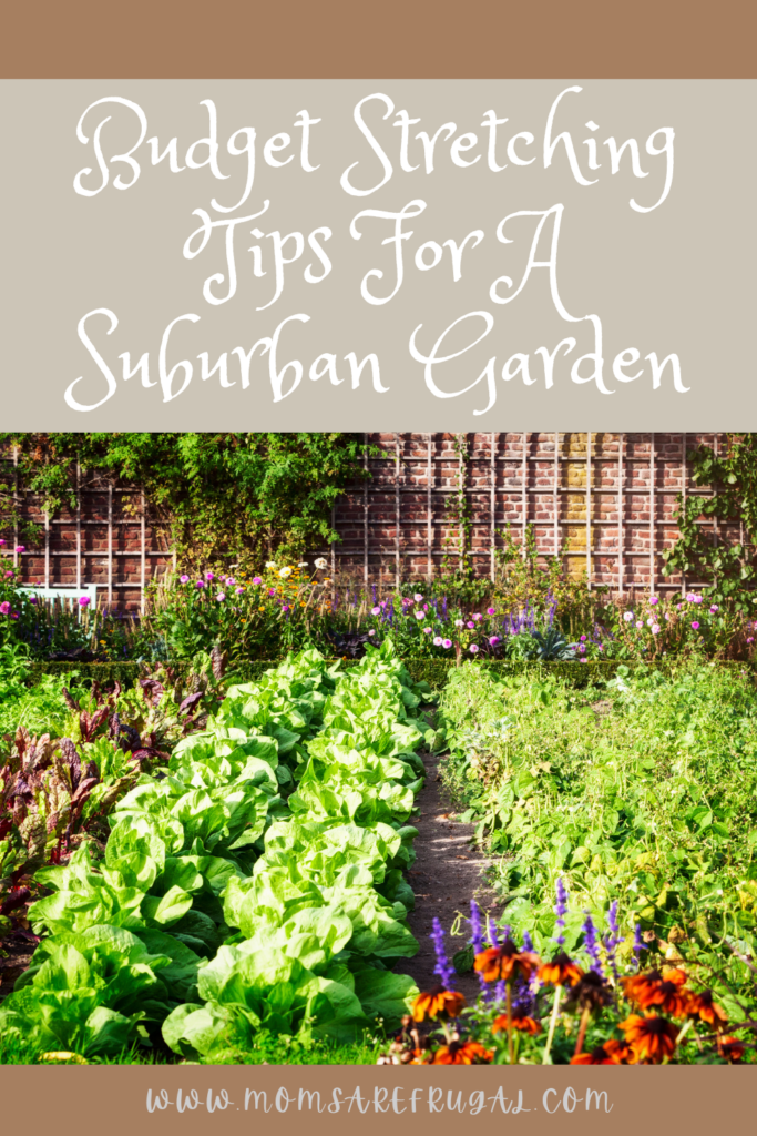 Budget Stretching Tips For A Suburban Garden