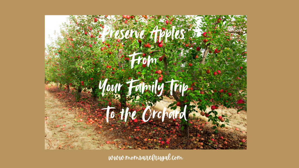 Preserve Apples From a Family Trip to the Orchard