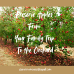 Preserve Apples From a Family Trip to the Orchard