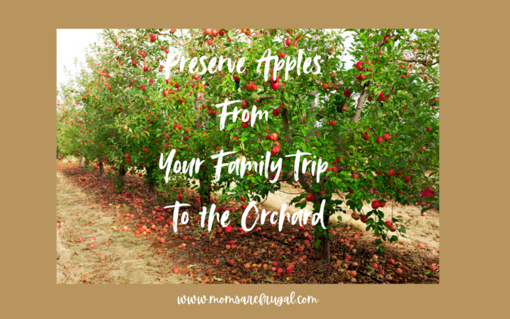 Preserve Apples From a Family Trip to the Orchard