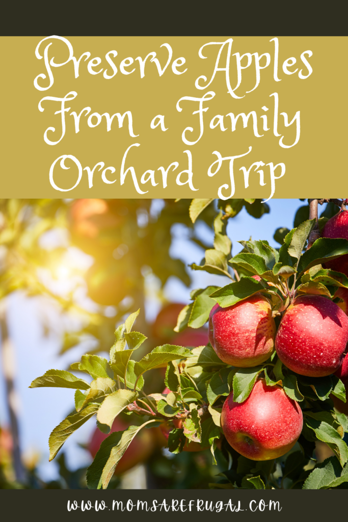 Preserve Apples From A Family Orchard Trip