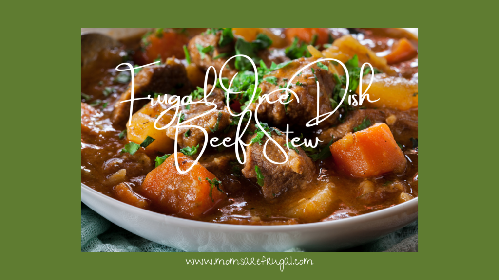 Frugal One Dish Beef Stew