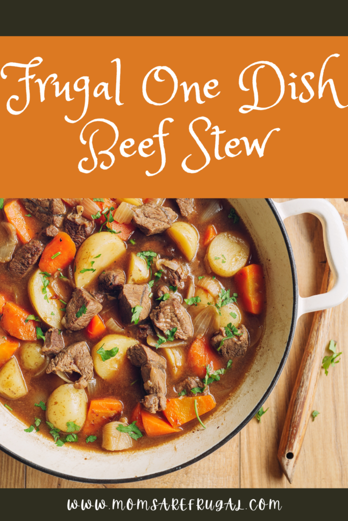 Frugal One Dish Beef Stew