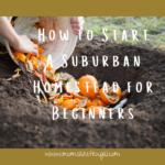 How to Start A Suburban Homestead for Beginners